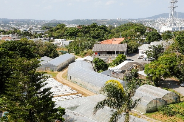 グリーンファーム（農耕）